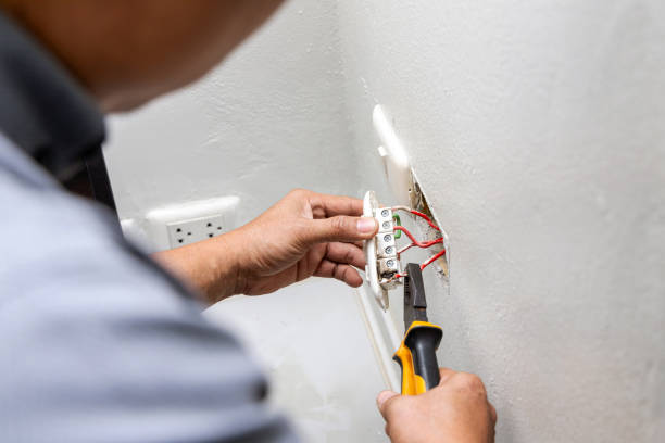 Best Residential Electrician Services  in Wayne City, IL