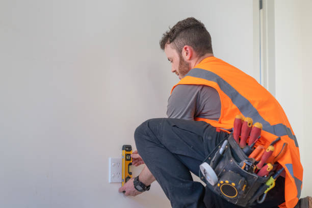 Best Ceiling Fan Installation Electrician  in Wayne City, IL