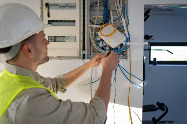 Best Electrical System Inspection  in Wayne City, IL